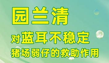 園蘭清對藍耳不穩(wěn)定豬場弱仔的救助作用！