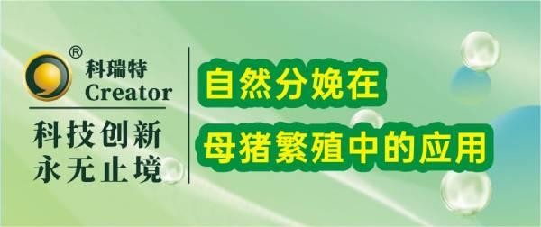 養(yǎng)殖技術 | 自然分娩在母豬繁殖中的應用