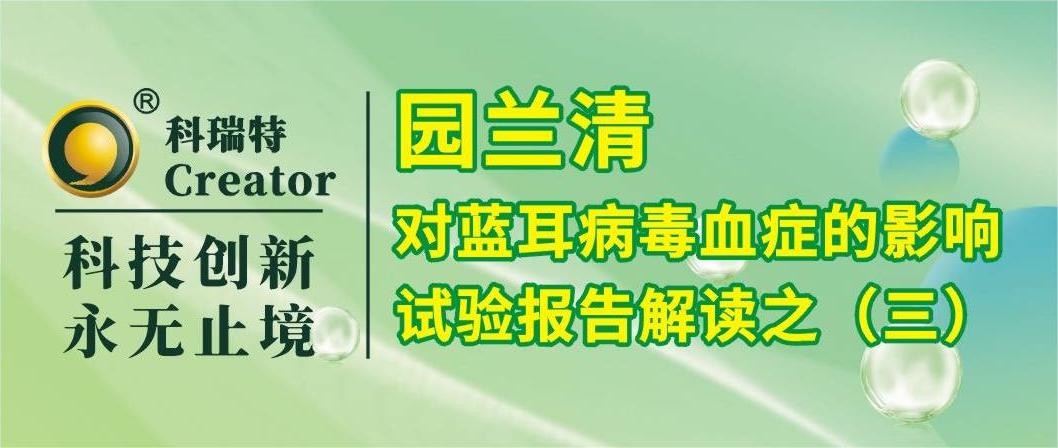養(yǎng)殖技術(shù) | 園蘭清對PRRSV攻毒仔豬炎性反應(yīng)的影響-試驗(yàn)報(bào)告解讀之三