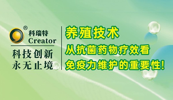 養(yǎng)殖技術(shù)｜從抗菌藥物療效看免疫力維護的重要性！